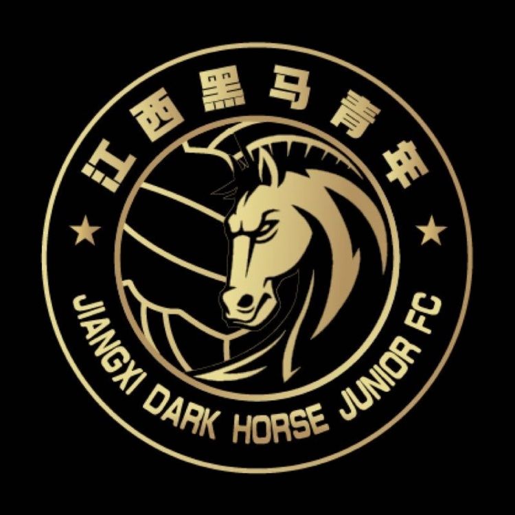  官方：江西黑馬青年完成異地遷移程序，更名為溫州職業(yè)足球俱樂部